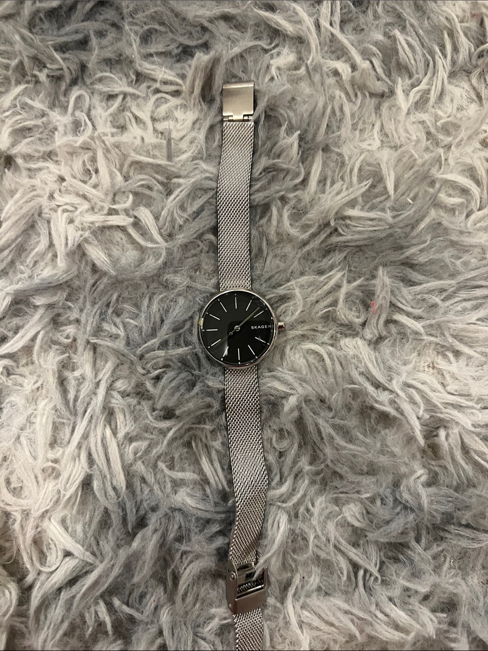 Skagen Silver Mesh Watch with Black Dial